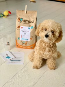 www.amusi.it Amusi®: Prodotti e Cibo per Cani Made in Italy | amusi