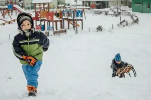 https://pixnio.com/it/media/ragazzi-a-slitta-inverno-parco-giochi-per-bambini-volutta