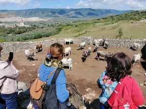 Gargano. In ricordo di Antonio Facenna. Alla masseria didattica torna la festa della Transumanza